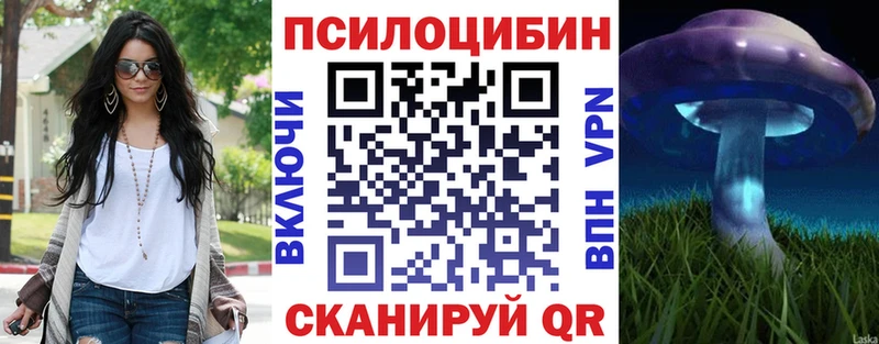 МЕГА ТОР  Высоковск  сайты даркнета официальный сайт  сколько стоит  Псилоцибиновые грибы Cubensis 